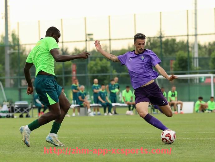 杏彩体育-世俱杯团队协作分析，夺冠秘诀大公开