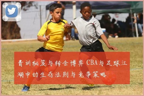 青训秘笈与转会博弈 CBA与足球江湖中的生存法则与竞争策略