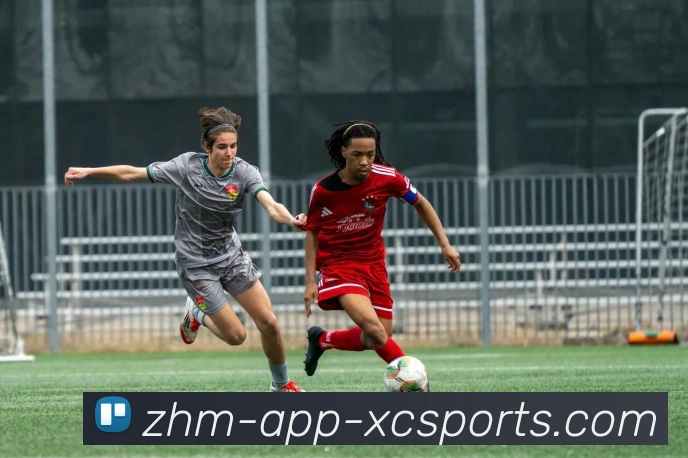 杏彩体育发展历程