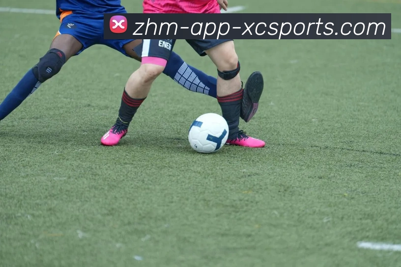 法甲球迷的故事：忠诚、激情与看台文化